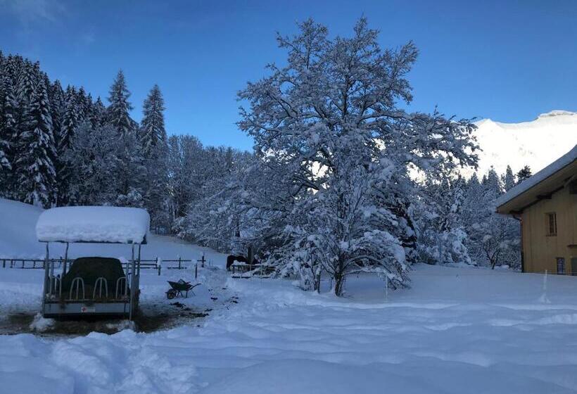住宿加早餐  Au Pré Des Chevaux
