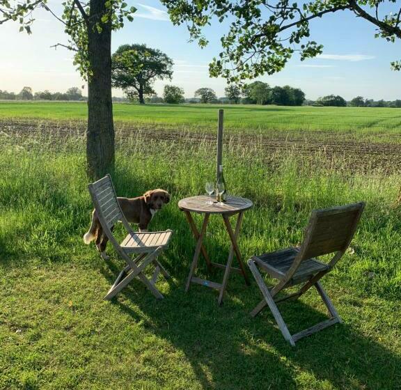 Bed and Breakfast Bluebell Barn
