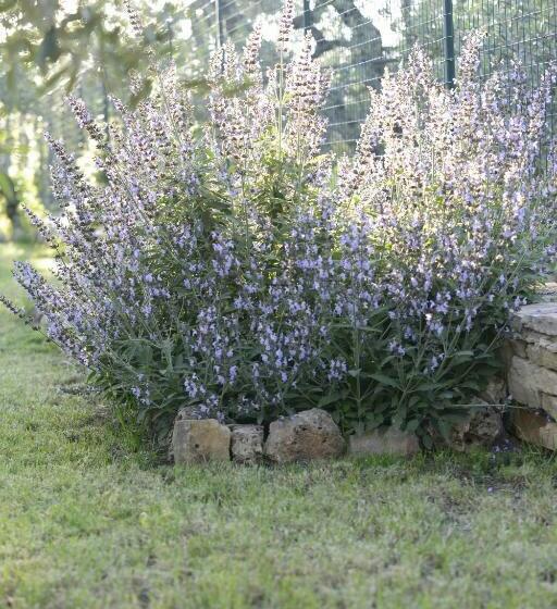 צימר Casa Di Campagna