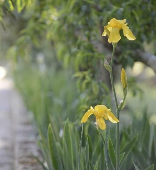 צימר Casa Di Campagna