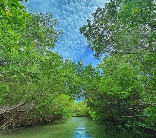 تختخواب و صبحانه Casa Praiana Moitas