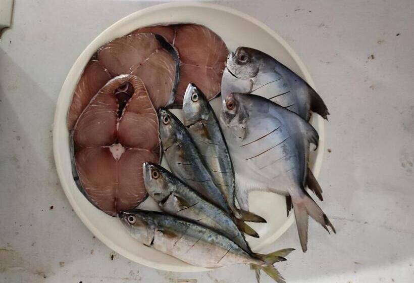 Bed and Breakfast Chivla Paradise