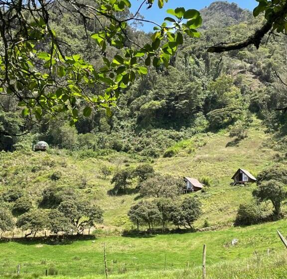 ベッドアンドブレックファースト Cúspide