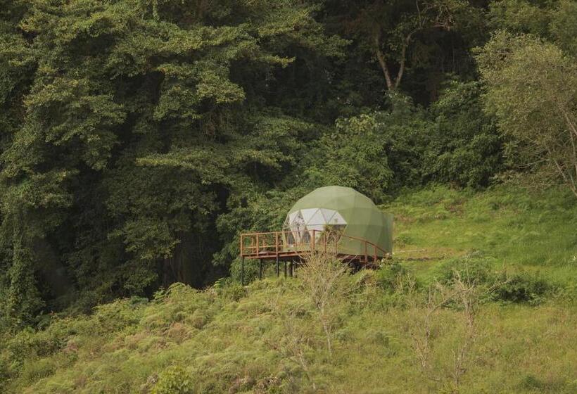 ベッドアンドブレックファースト Cúspide