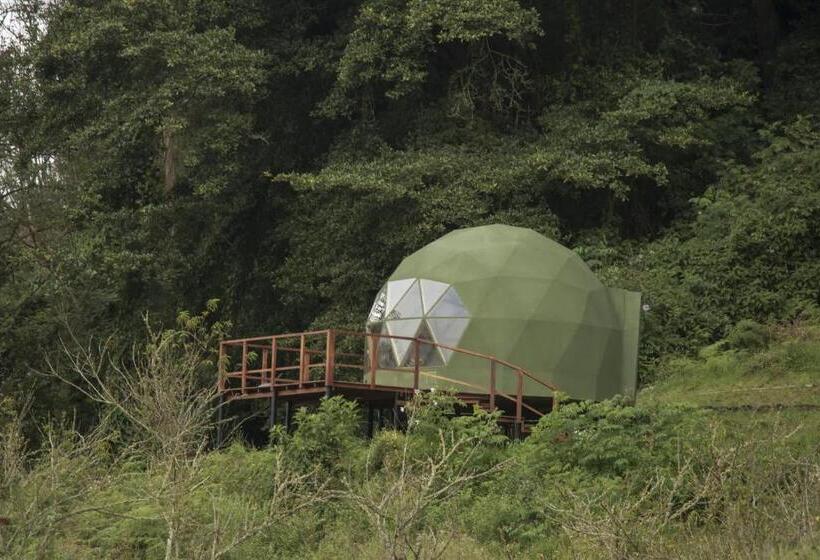 ベッドアンドブレックファースト Cúspide