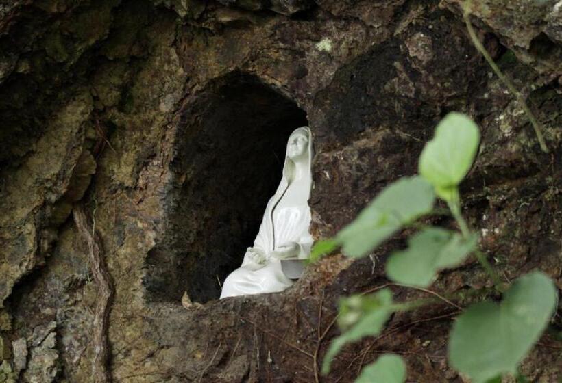 ベッドアンドブレックファースト Cúspide