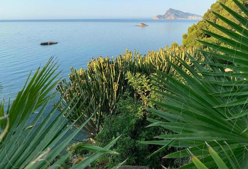 تختخواب و صبحانه El Jardin Botánico Villa Luz