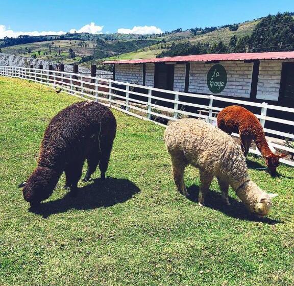 مبيت وإفطار Hacienda Santa Ana Lodging