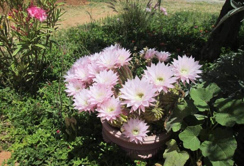 تختخواب و صبحانه Ksar Montana Hôtel, Chambres Piscine