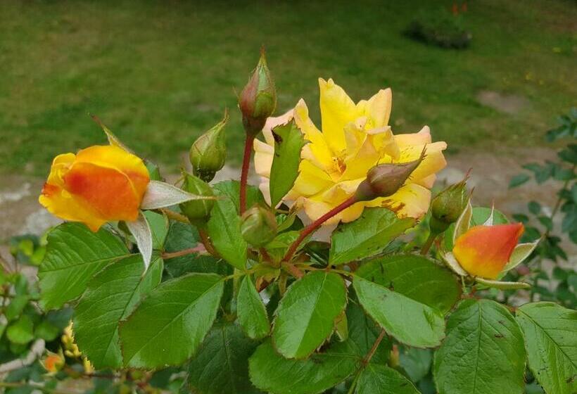 住宿加早餐  La Minoterie   Studio Avec Kitchenette Et Chambre D Hôtes