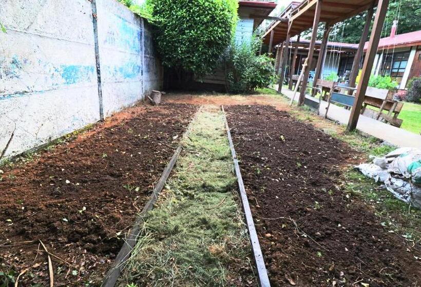 민박 Punto Rockstar Osorno