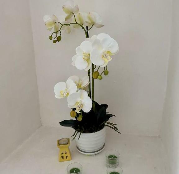 בית מלון כפרי Agriturismo Tenuta Ares