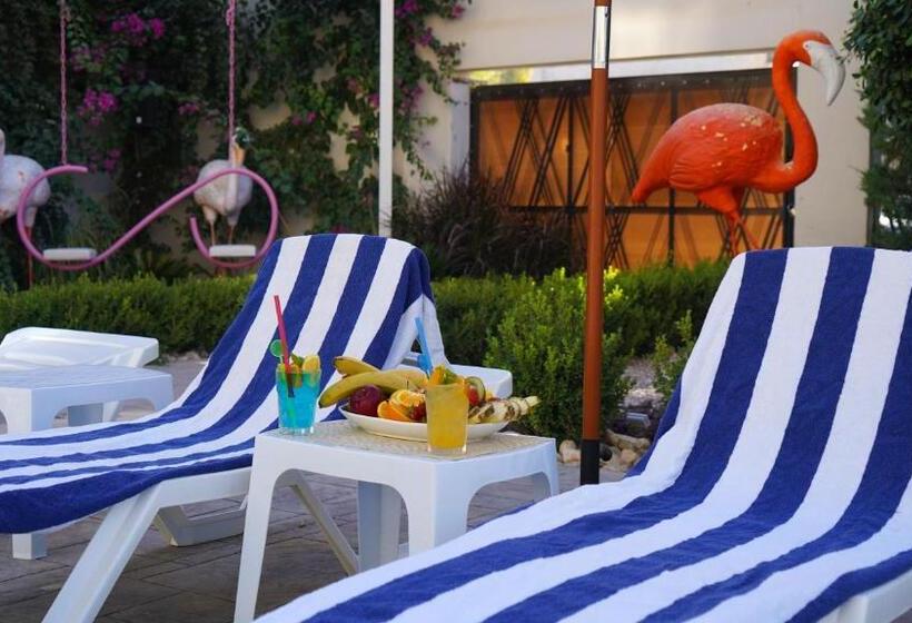 Aitch Boutique Hotel   An Lih