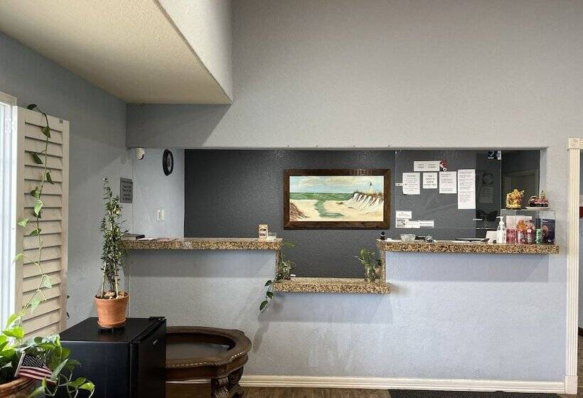 Отель Bien Venido