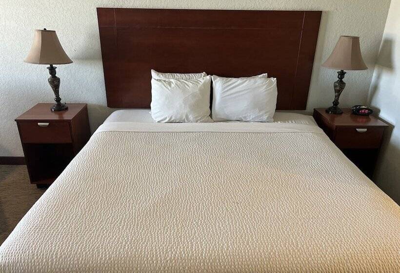 Отель Bien Venido