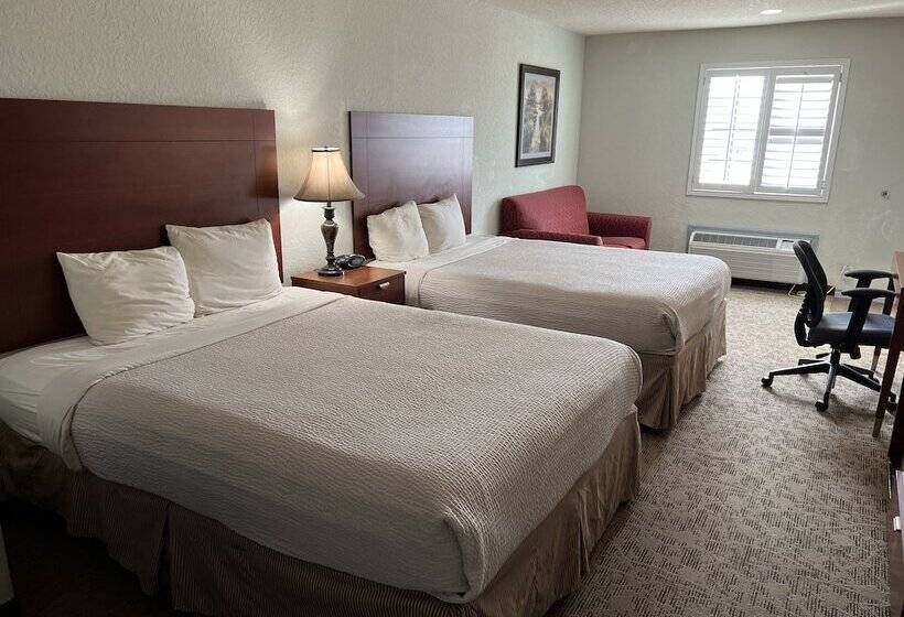 Отель Bien Venido