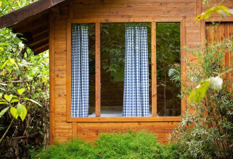 فندق El Abrazo Del Arbol