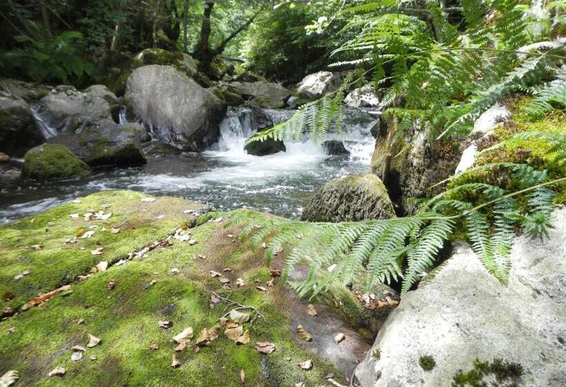 فندق El Abrazo Del Arbol
