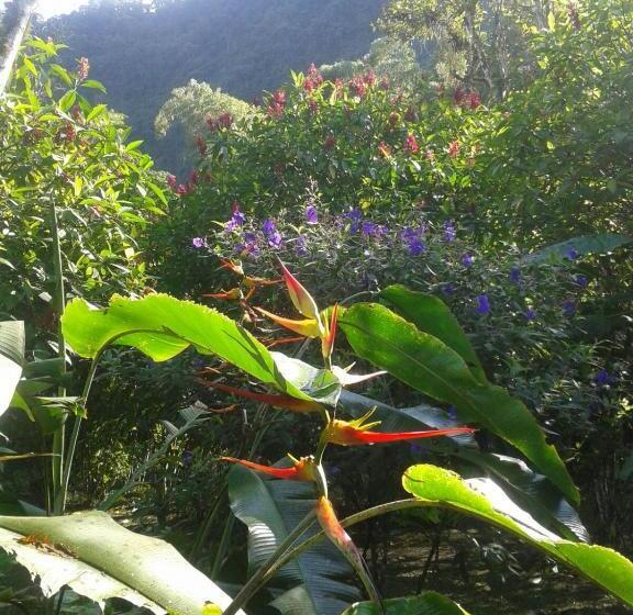 هتل El Abrazo Del Arbol