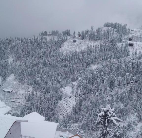 فندق على الطريق The Wonderland Cottages & Cafe