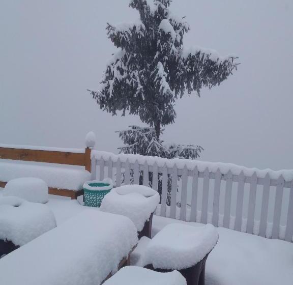 فندق على الطريق The Wonderland Cottages & Cafe