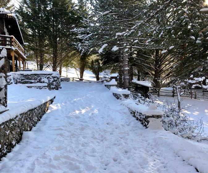 بنسيون Affittacamere 7nani