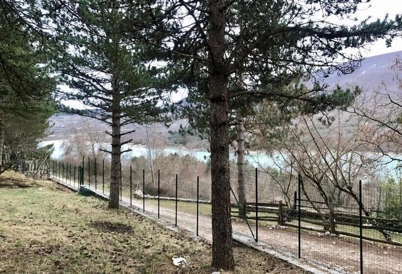 بنسيون Affittacamere 7nani