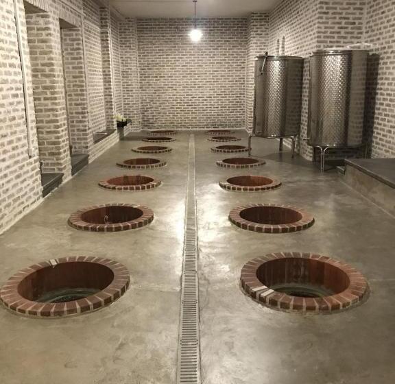 پانسیون Begaso Family Winery