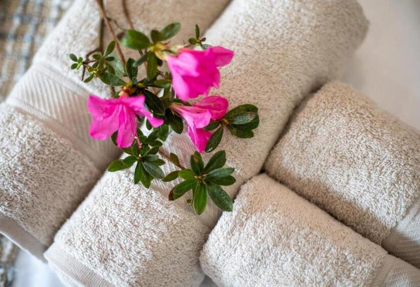 膳宿费 Carvão Pdl Inn