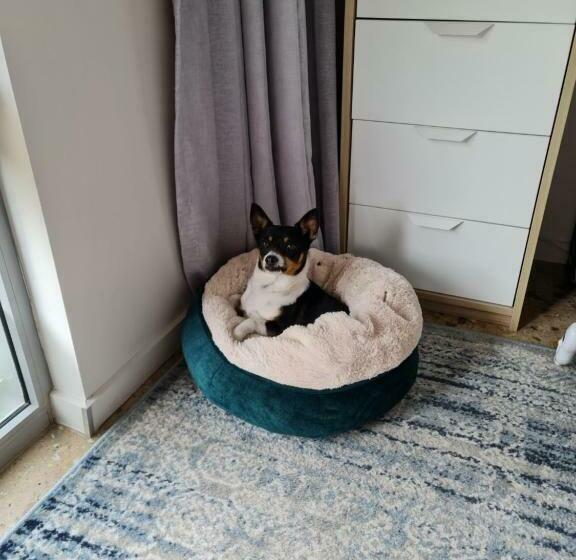 פנסיון Kathy S Room