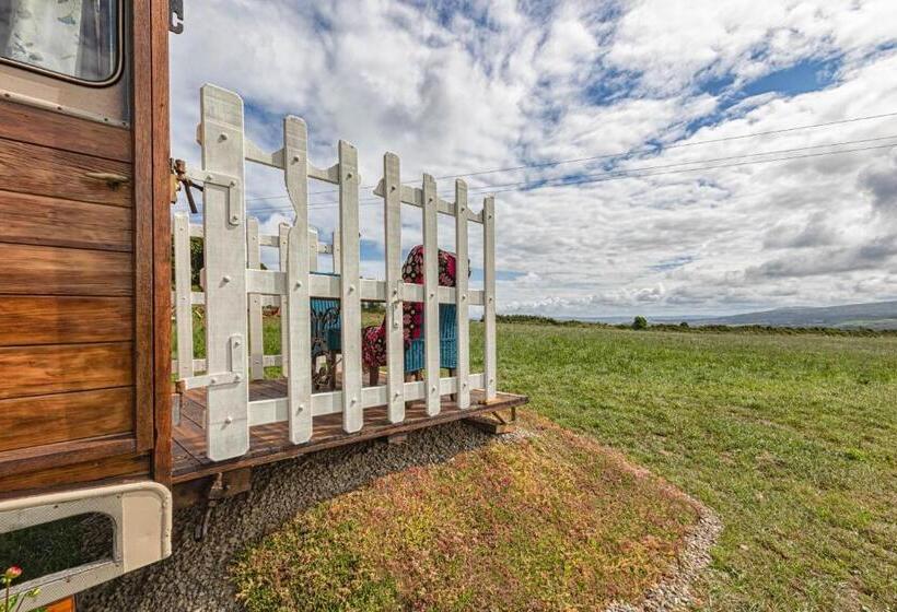 بنسيون Penrhiw Farm B & B