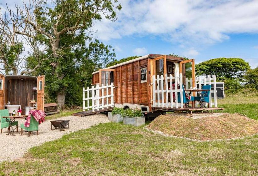 بنسيون Penrhiw Farm B & B