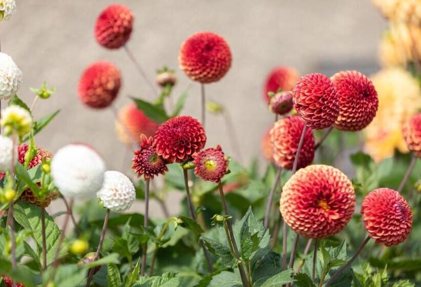 بنسيون Penrhiw Farm B & B