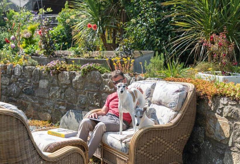 بنسيون Penrhiw Farm B & B