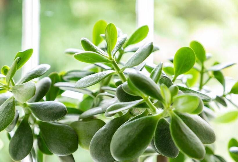 بنسيون Penrhiw Farm B & B