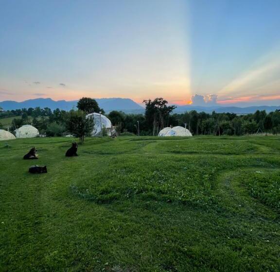 بنسيون Soho Place