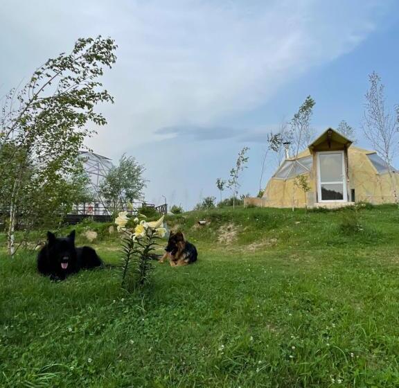 بنسيون Soho Place