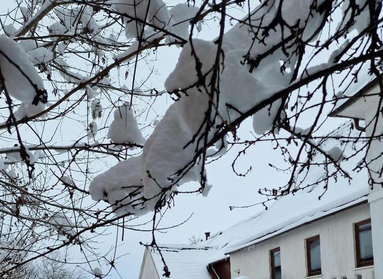 ペンション Studiorasnov