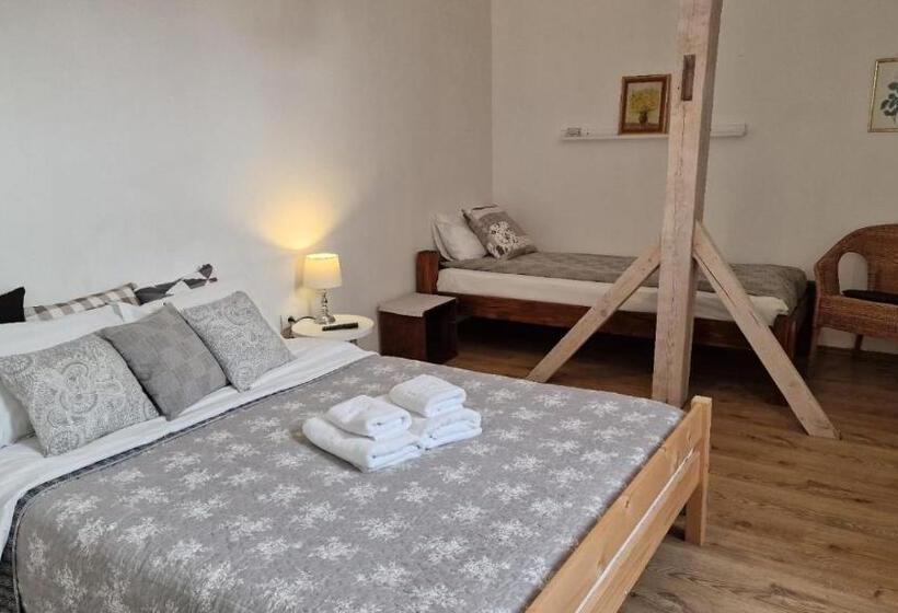 膳宿费 Studiorasnov