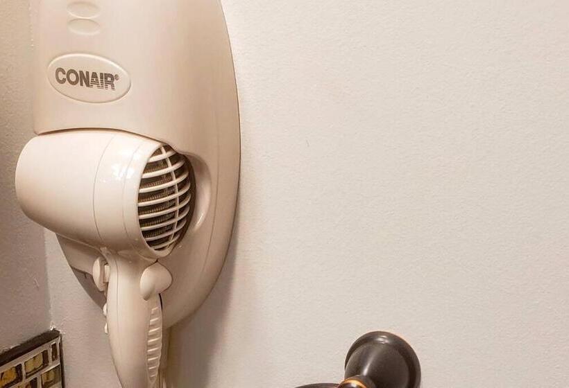 ペンション Stylish Suite Tampa Minutes To Hard Rock Casino