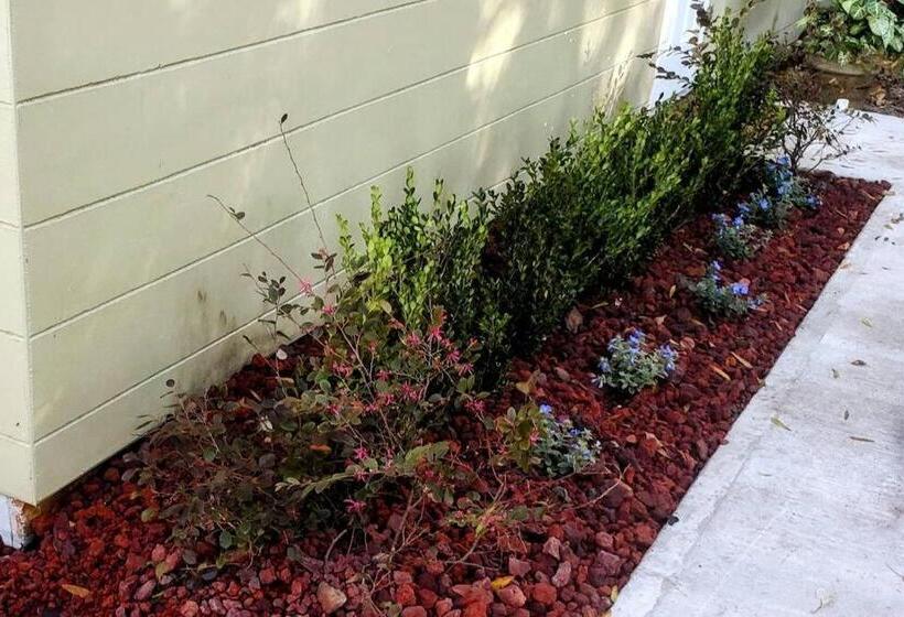 ペンション Stylish Suite Tampa Minutes To Hard Rock Casino