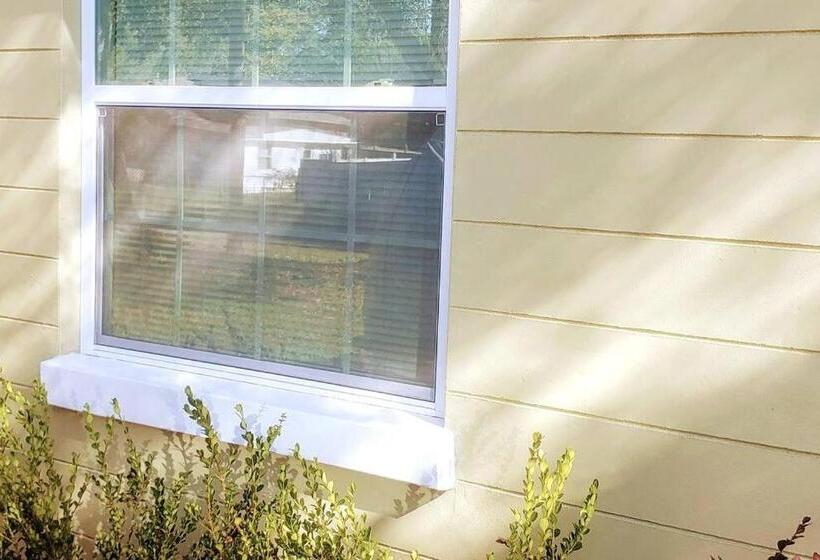 ペンション Stylish Suite Tampa Minutes To Hard Rock Casino