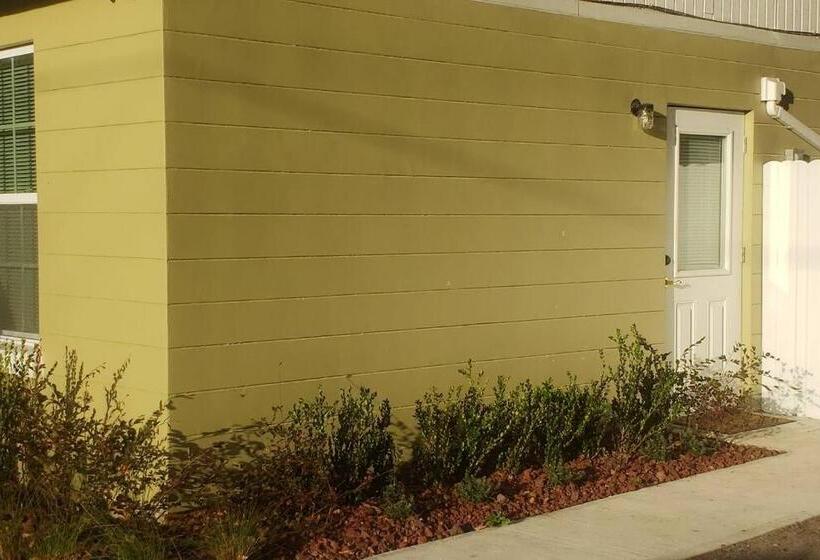 ペンション Stylish Suite Tampa Minutes To Hard Rock Casino