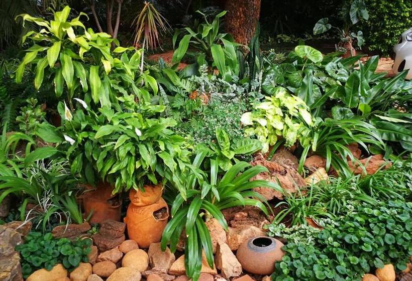 Pension Tree Aloe Guest House
