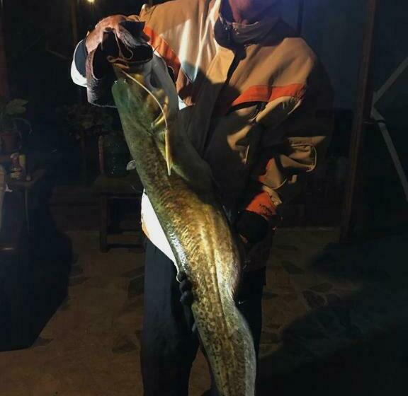 Pensiunea Belvedere Yachtclub Berzasca