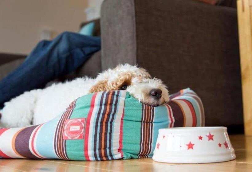 Курорт Herons House Sleeps 12, Heated Pool, Hot Tub, Sauna, Games Room 5 Star!