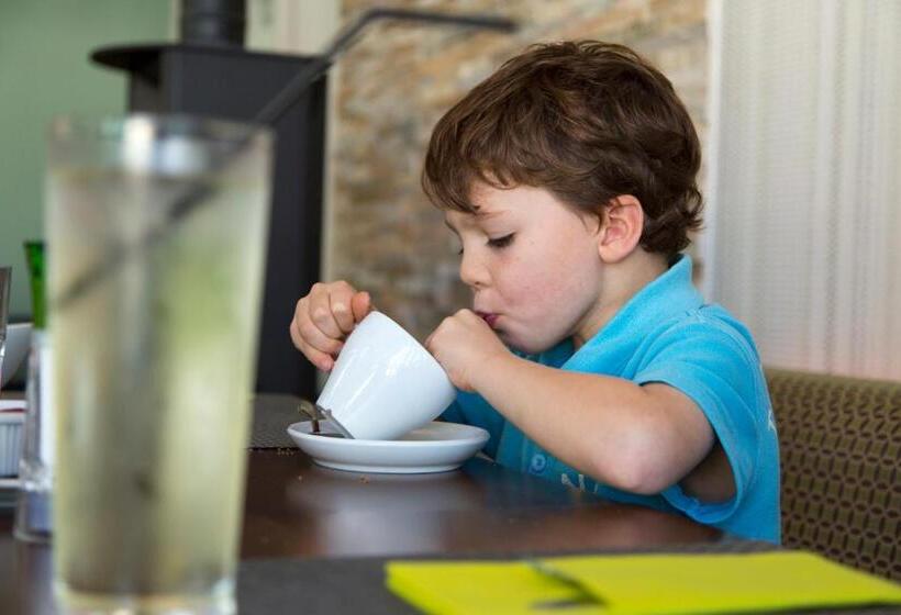 Swallow Lodge With Hot Tub, Dogs Welcome Sleeps 8, Great Resort Facilities