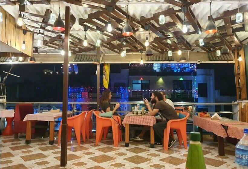 هاستل Gypsy Nest