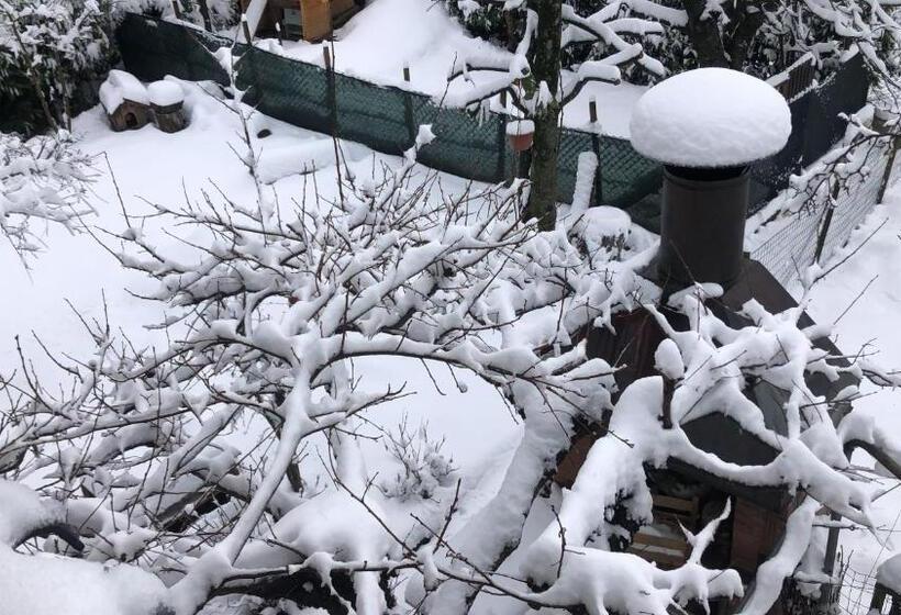 B&b Curva Della Palma