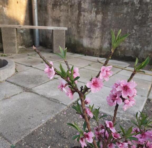 B&b Villa La Ginestra